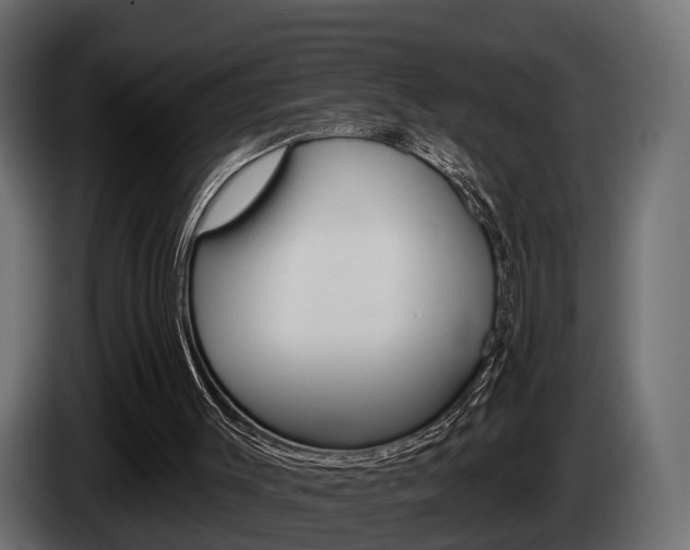 X0000085040003200703051034