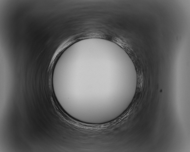 X0000085040004200703051034