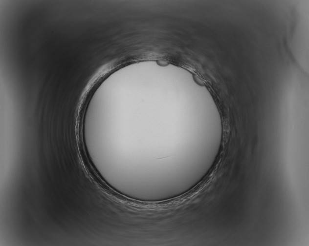 X0000085040006200703051034