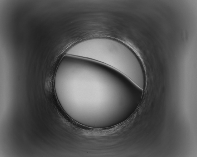 X0000085040009200703051034