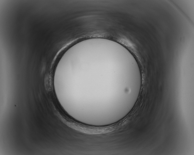 X0000085040012200703051034