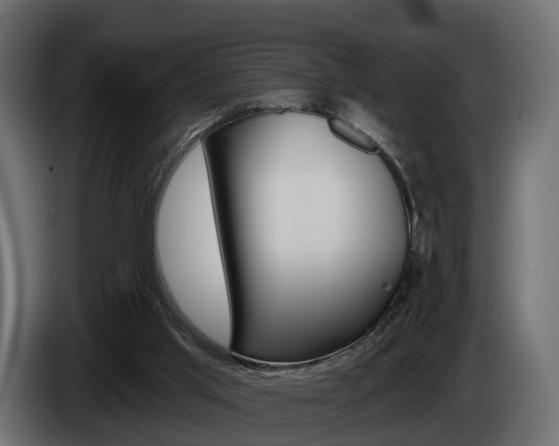 X0000085040013200703051034