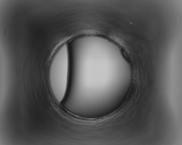 X0000085040015200703051034
