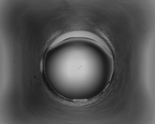 X0000085040019200703051034