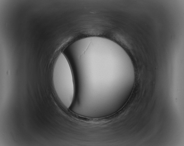 X0000085040020200703051034