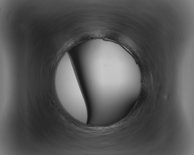 X0000085040023200703051034