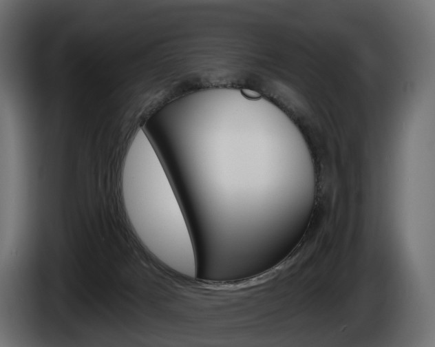 X0000085040025200703051034