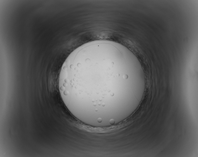 X0000085040030200703051034