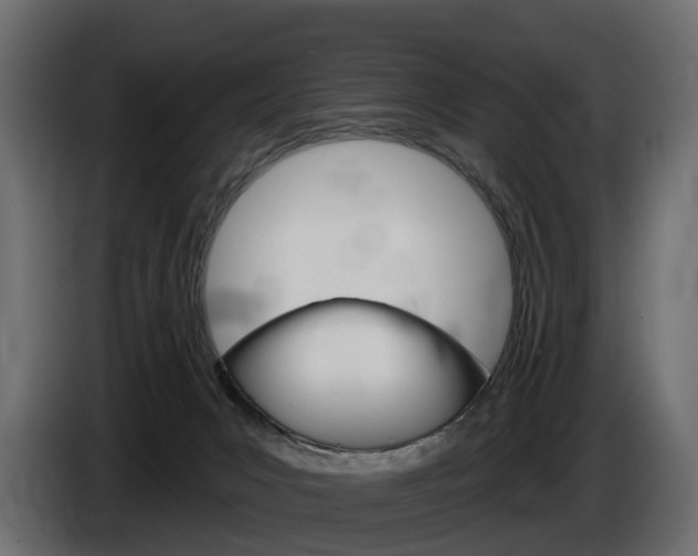 X0000085040031200703051034