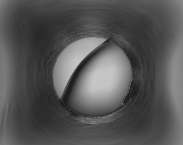 X0000085040033200703051034