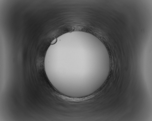 X0000085040034200703051034