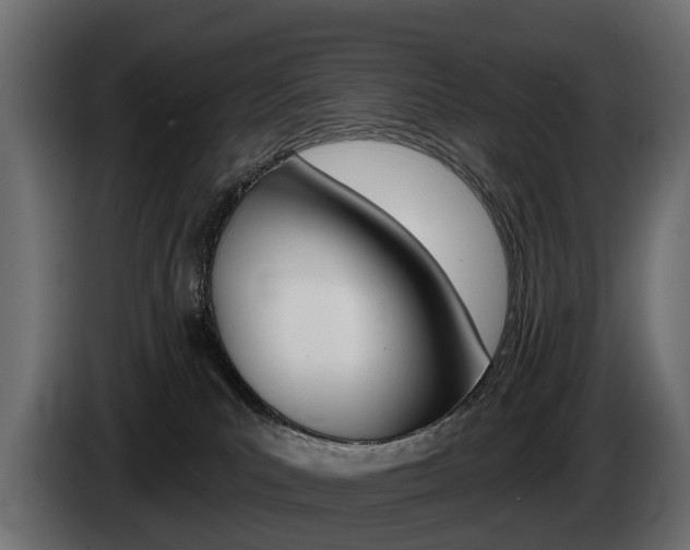 X0000085040039200703051034