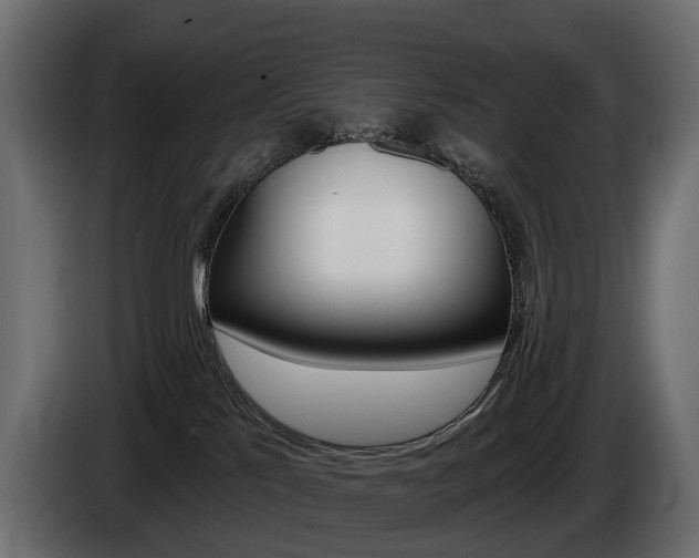 X0000085040041200703051034