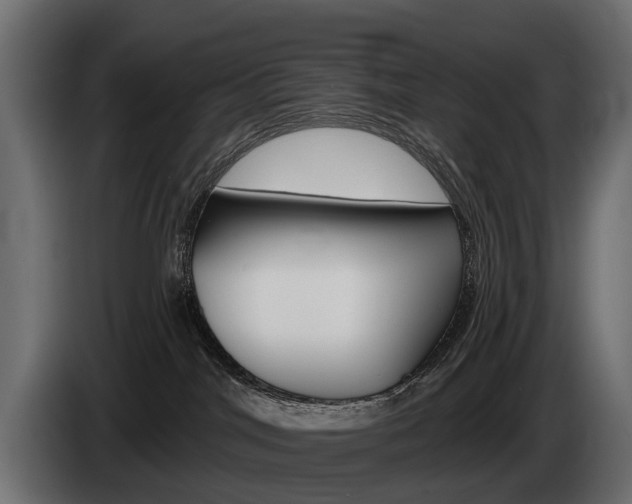 X0000085040044200703051034
