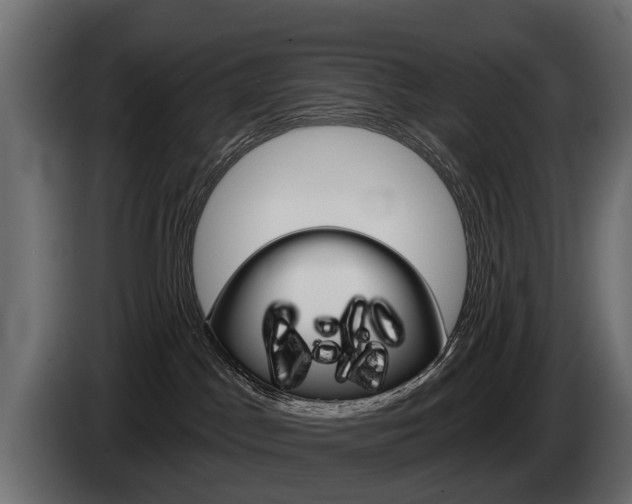 X0000085040045200703051034
