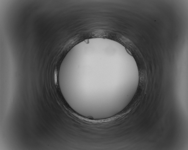 X0000085040046200703051034