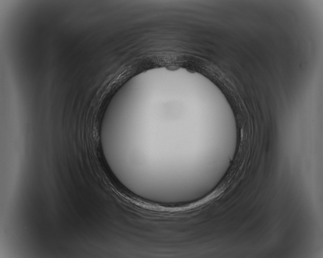 X0000085040048200703051034