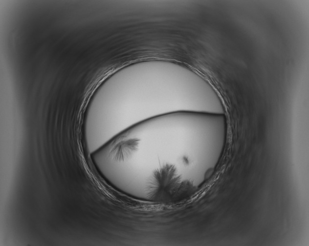 X0000085040049200703051033
