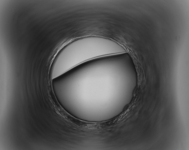 X0000085040050200703051033