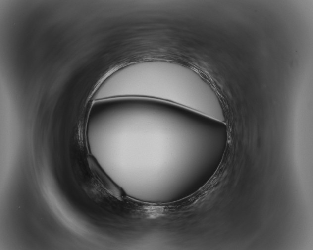 X0000085040052200703051033