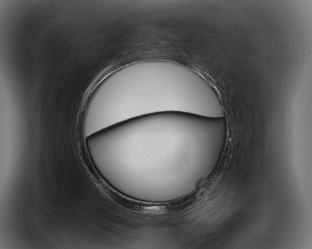 X0000085040053200703051033
