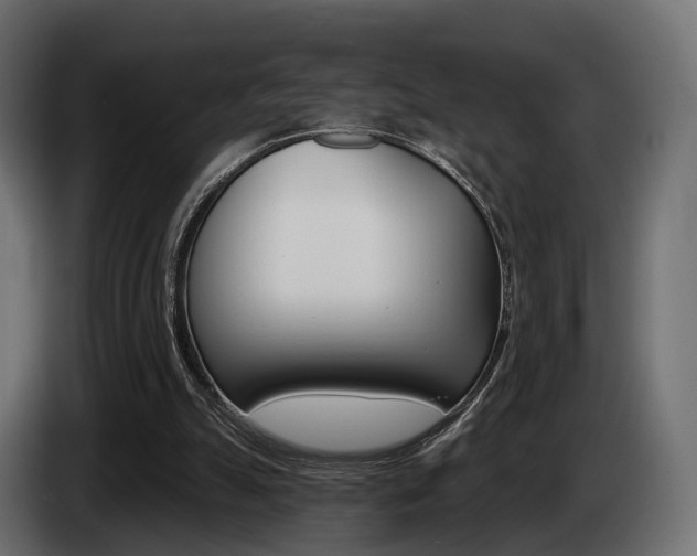 X0000085040055200703051033