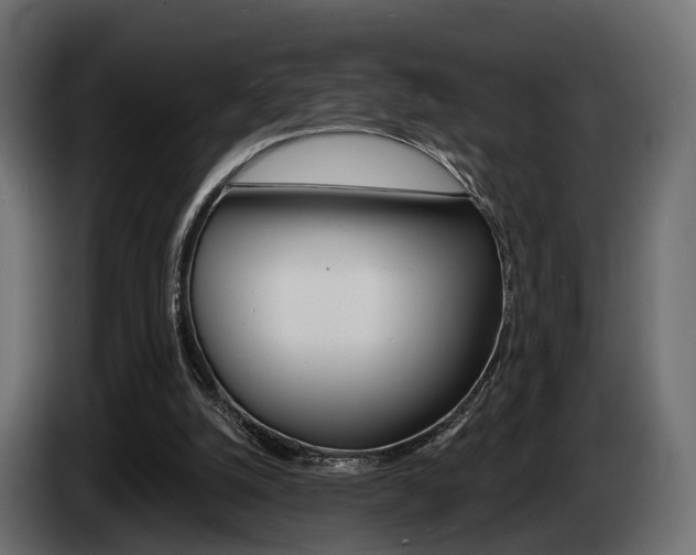 X0000085040056200703051033