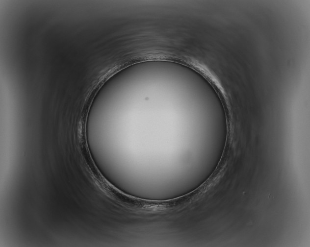 X0000085040057200703051033