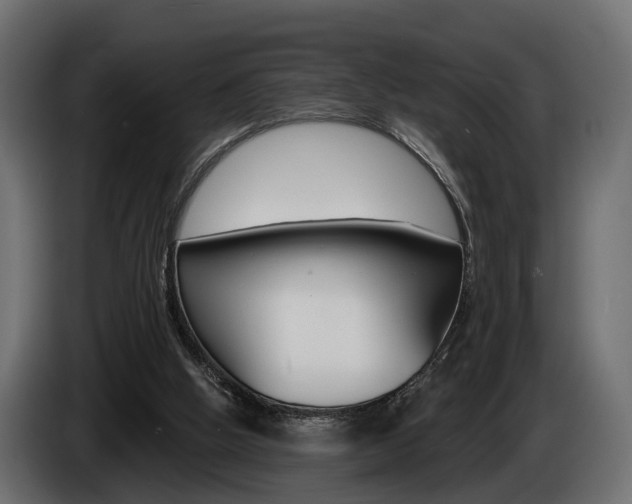 X0000085040058200703051033