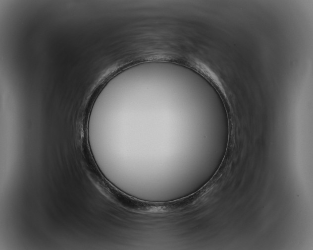 X0000085040059200703051033