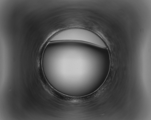 X0000085040060200703051033