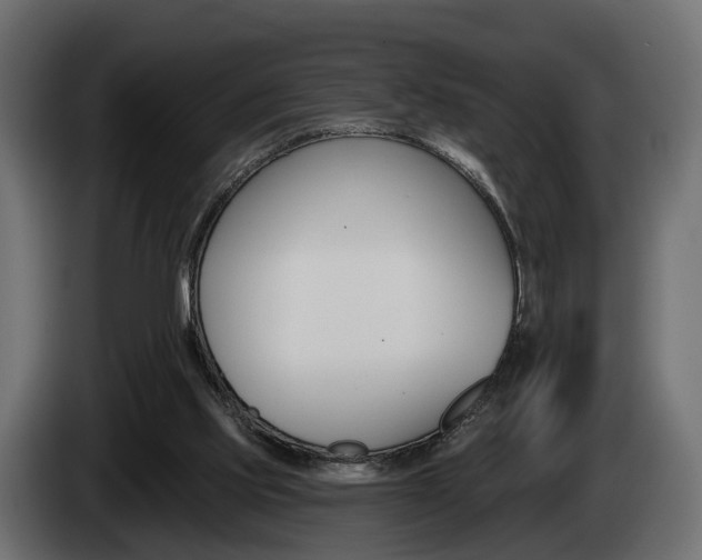 X0000085040061200703051033