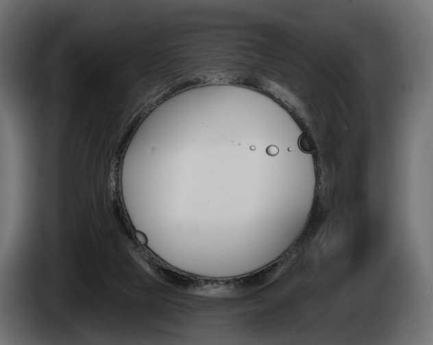 X0000085040065200703051033