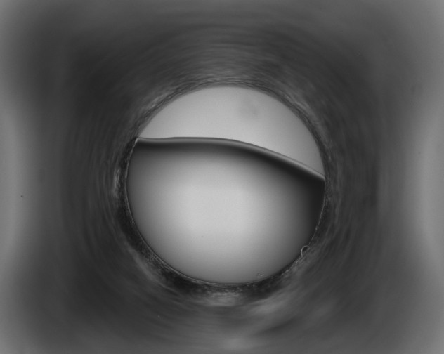 X0000085040066200703051033