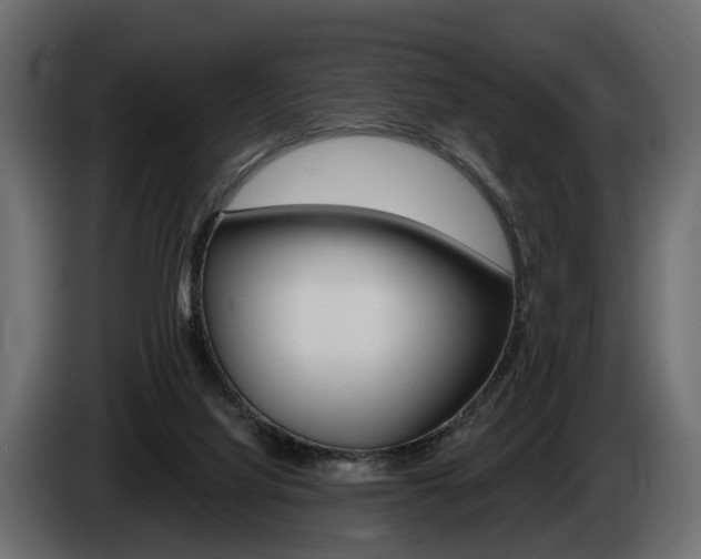 X0000085040068200703051033