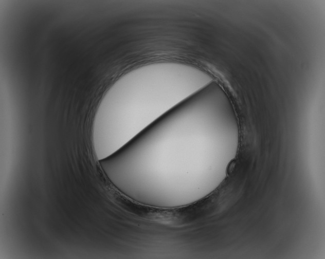 X0000085040069200703051033