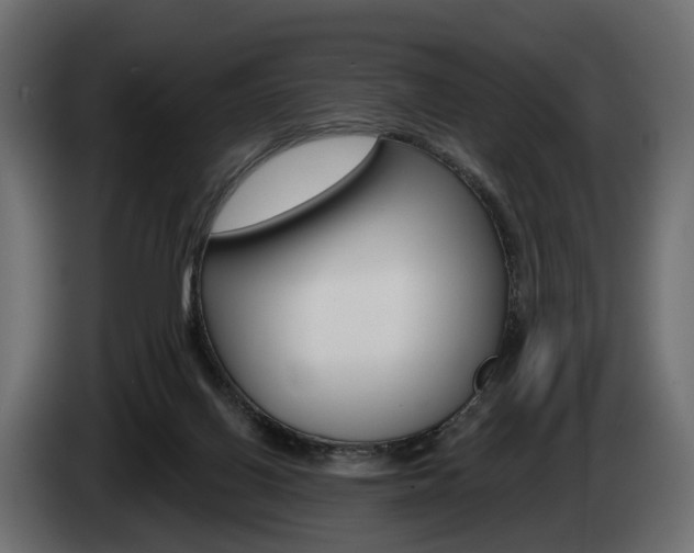 X0000085040070200703051033