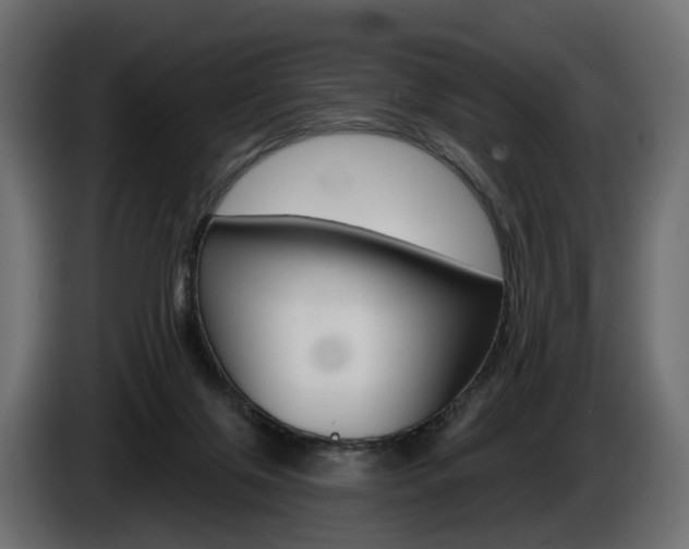X0000085040071200703051033