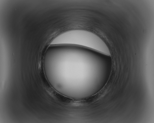 X0000085040072200703051033