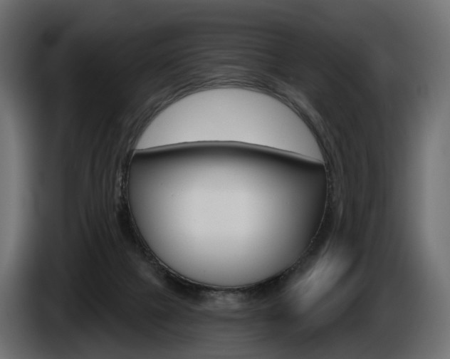 X0000085040073200703051033