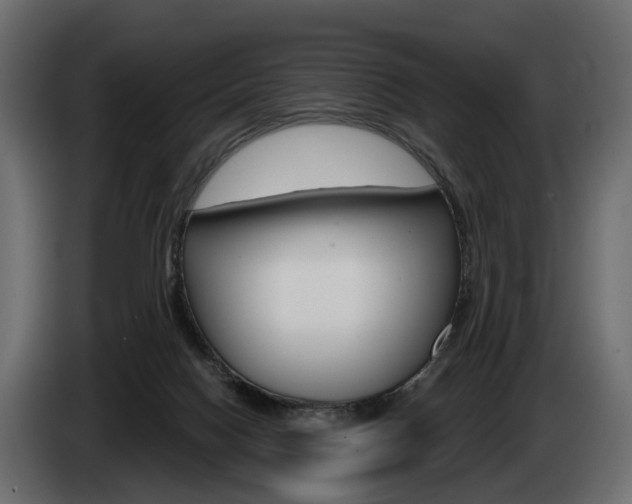 X0000085040074200703051033