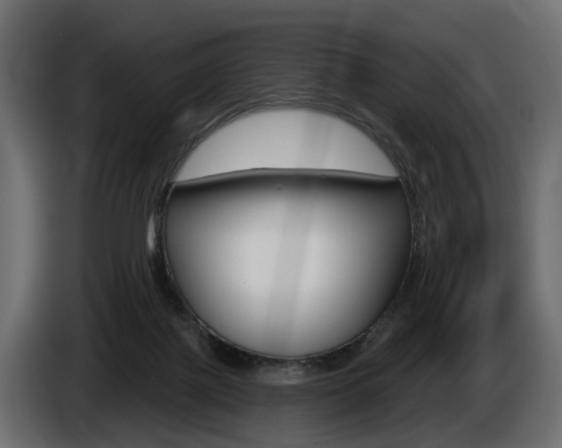 X0000085040075200703051033