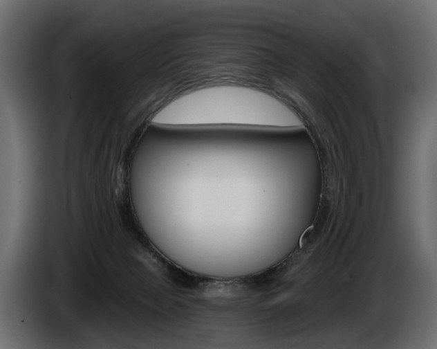 X0000085040077200703051033