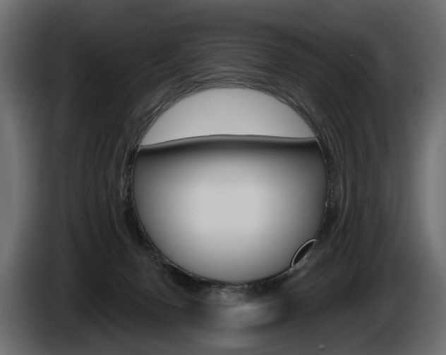 X0000085040078200703051033