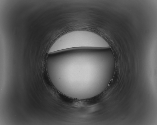 X0000085040079200703051033