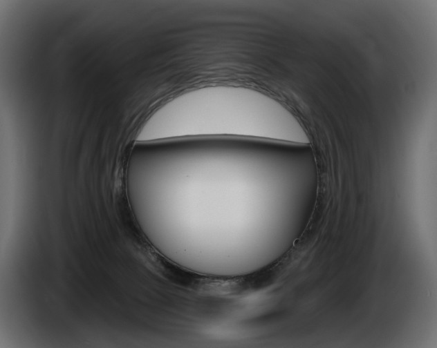 X0000085040081200703051033