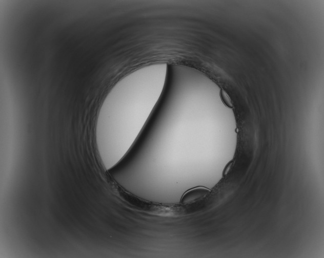 X0000085040083200703051033
