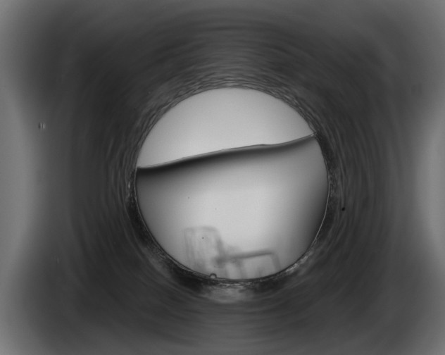 X0000085040086200703051033
