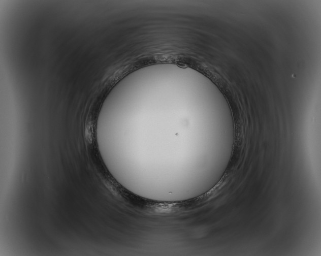 X0000085040090200703051033