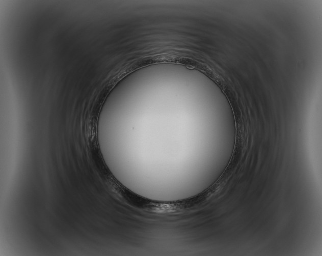 X0000085040091200703051033